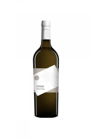 Agronika Pinot Grigio IGT wino włoskie białe wytrawne