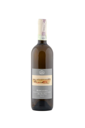 Albana Secco D.O.C.G. wino włoskie białe wytrawne