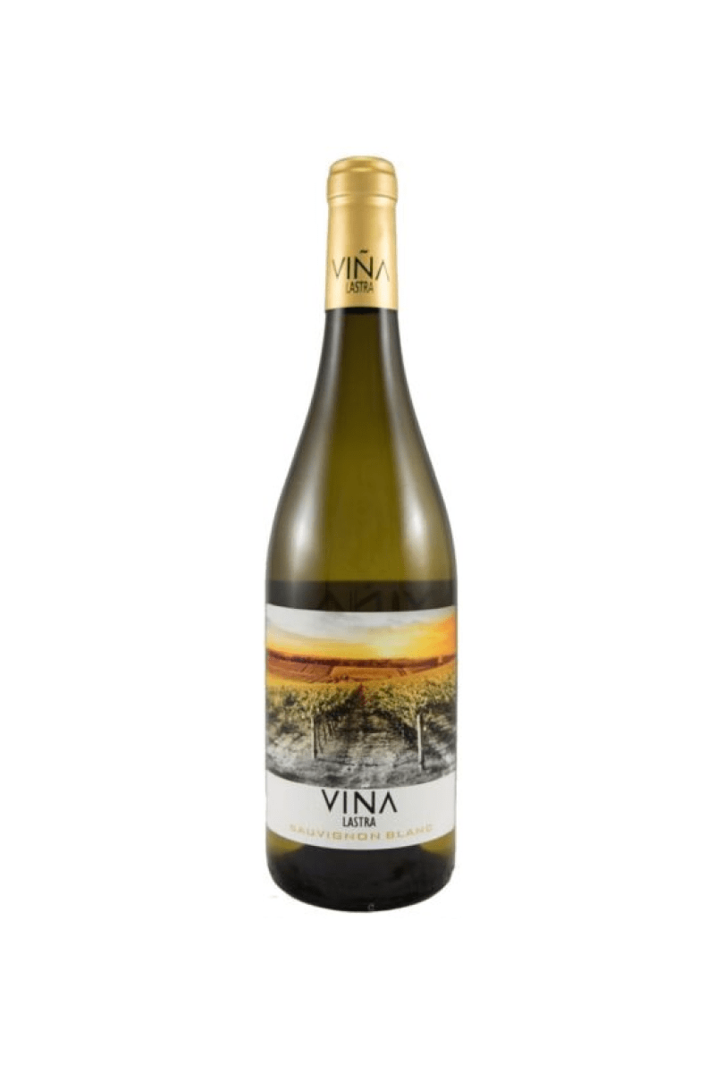 Viña Lastra Sauvignon Blanc ORGANIC Tierra di Castilla wino hiszpańskie białe wytrawne