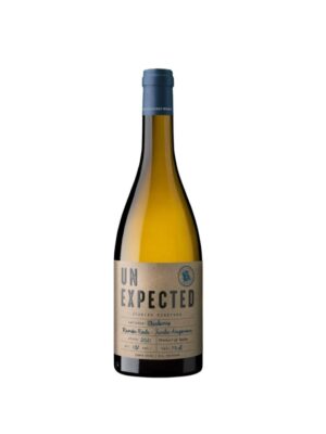 Ayles Unexpected Chardonnay wino hiszpańskie białe wytrawne