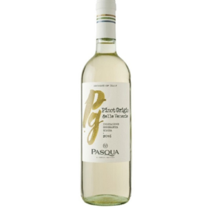 LINIA COLORI D’ITALIA PINOT GRIGIO TREVENEZIE IGT wino włoskie białe wytrawne