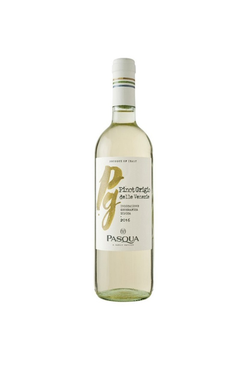 LINIA COLORI D’ITALIA PINOT GRIGIO TREVENEZIE IGT wino włoskie białe wytrawne