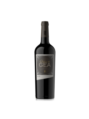 Malbec Reserva Vastago de Gea wino argentyńskie czerwone wytrawne