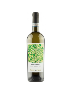 Terre Dei Dogi Pinot Grigio wino włoskie białe wytrawne