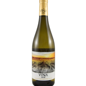 Viña Lastra Sauvignon Blanc ORGANIC Tierra di Castilla wino hiszpańskie białe wytrawne