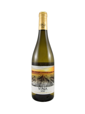 Viña Lastra Sauvignon Blanc ORGANIC Tierra di Castilla wino hiszpańskie białe wytrawne