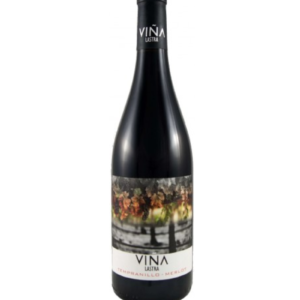 Vina Lastra Tempranillo-Merlot BIO wino hiszpańskie czerwone wytrawne