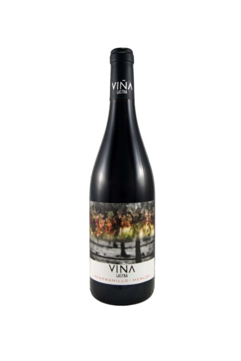 Vina Lastra Tempranillo-Merlot BIO wino hiszpańskie czerwone wytrawne