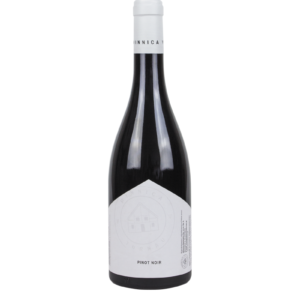 WINNICA TURNAU PINOT NOIR wino polskie czerwone wytrawne