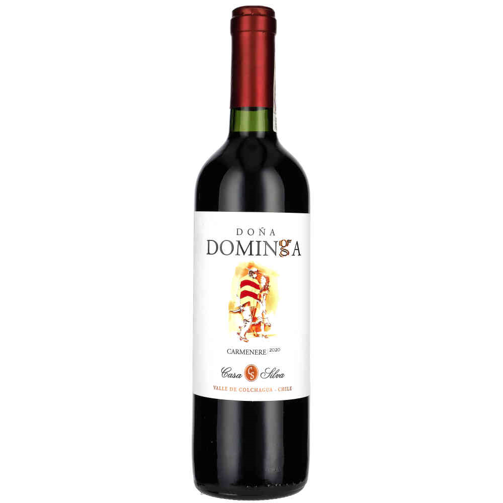 dona dominga carmenere 2020 chile czerwone wytrawne