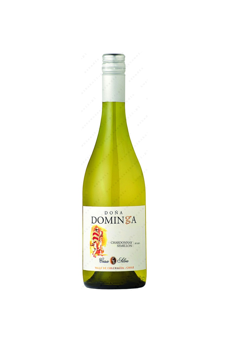 Dona Dominga Chardonnay Semillon wino chilijskie białe wytrawne