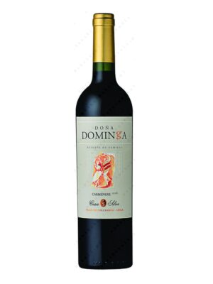 Dona Dominga Reserva Carmenere wino chilijskie czerwone wytrawne