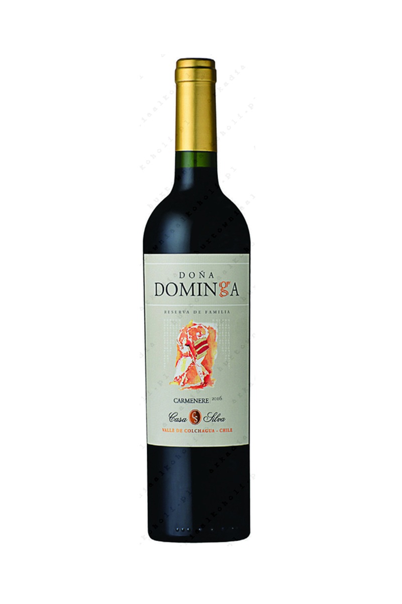 Dona Dominga Reserva Carmenere wino chilijskie czerwone wytrawne