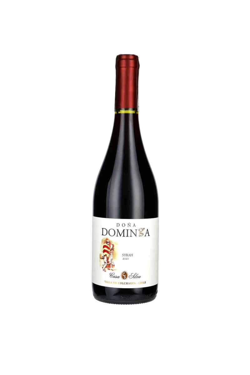 Dona Dominga Syrah wino chilijskie czerwone wytrawne